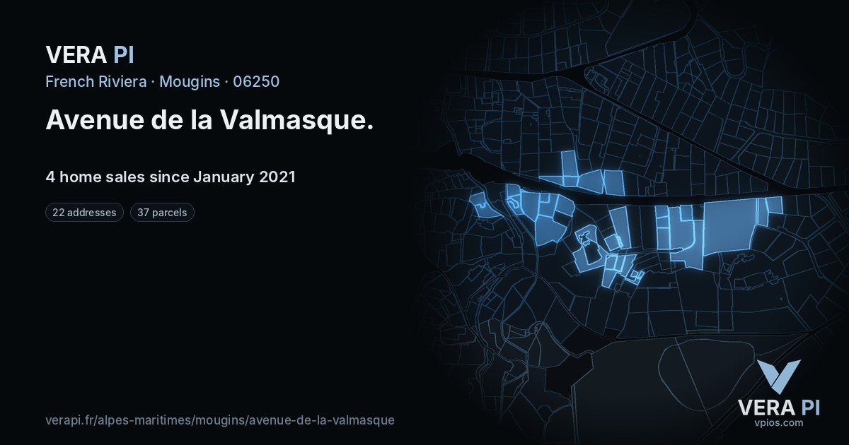 Avenue de la Valmasque, Mougins at night – every parcel coloured by the prices around it, the street's own parcels lit
