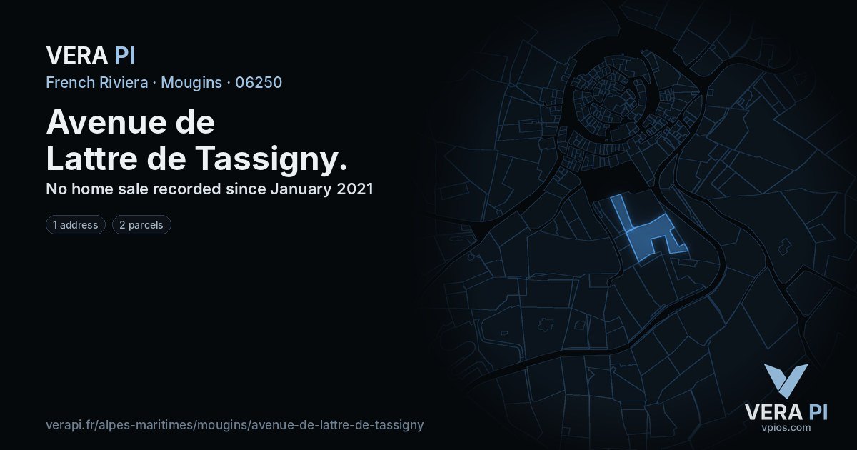 Avenue de Lattre de Tassigny, Mougins at night – every parcel coloured by the prices around it, the street's own parcels lit