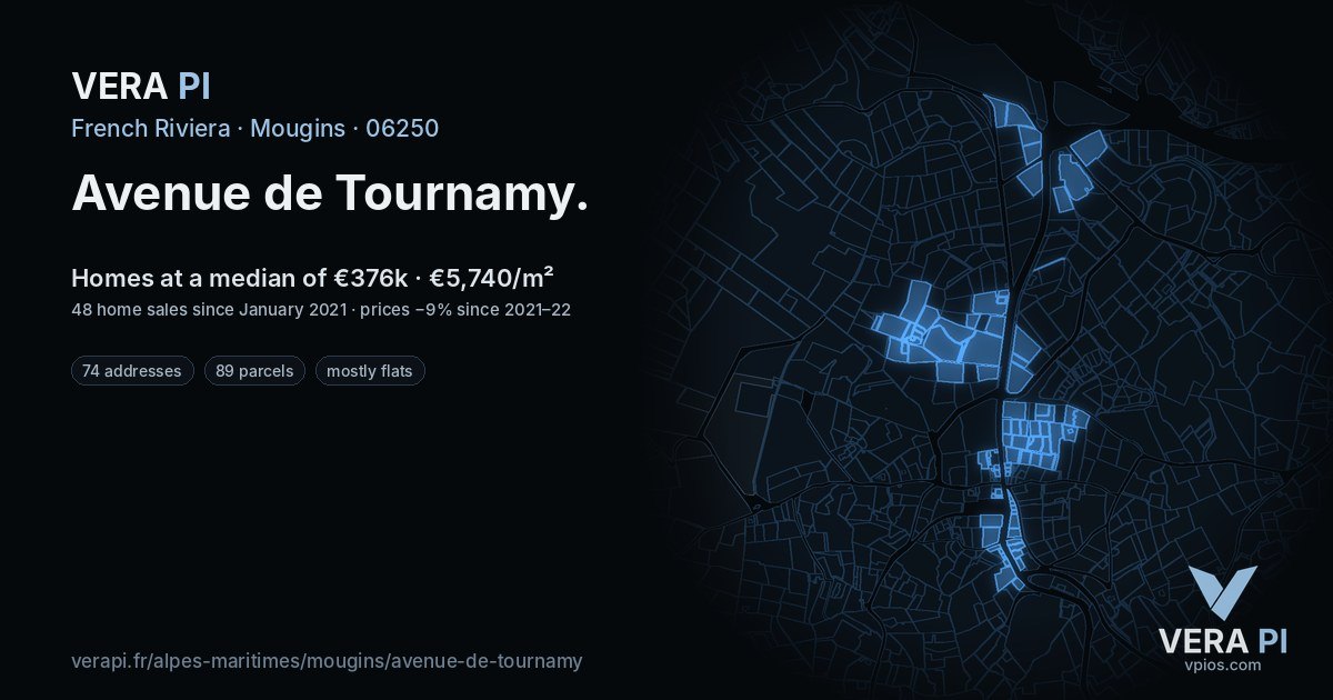 Avenue de Tournamy, Mougins at night – every parcel coloured by the prices around it, the street's own parcels lit