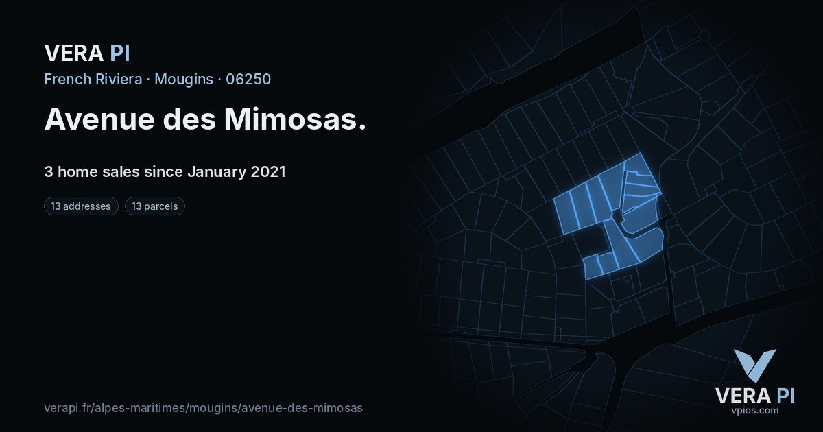 Avenue des Mimosas, Mougins at night – every parcel coloured by the prices around it, the street's own parcels lit