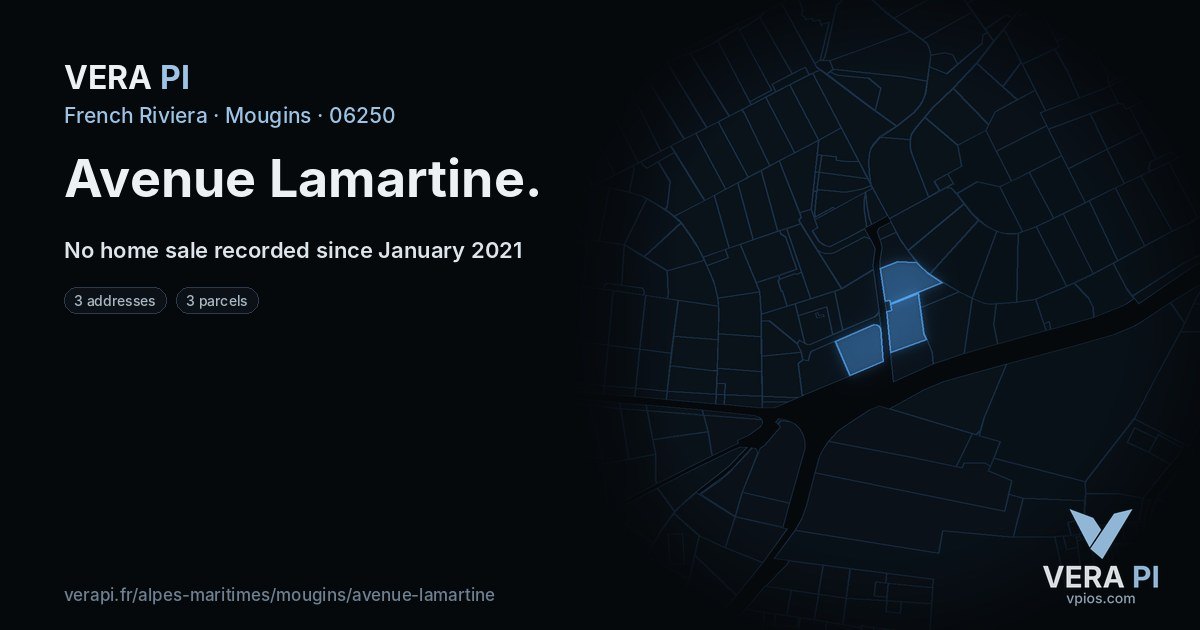 Avenue Lamartine, Mougins at night – every parcel coloured by the prices around it, the street's own parcels lit