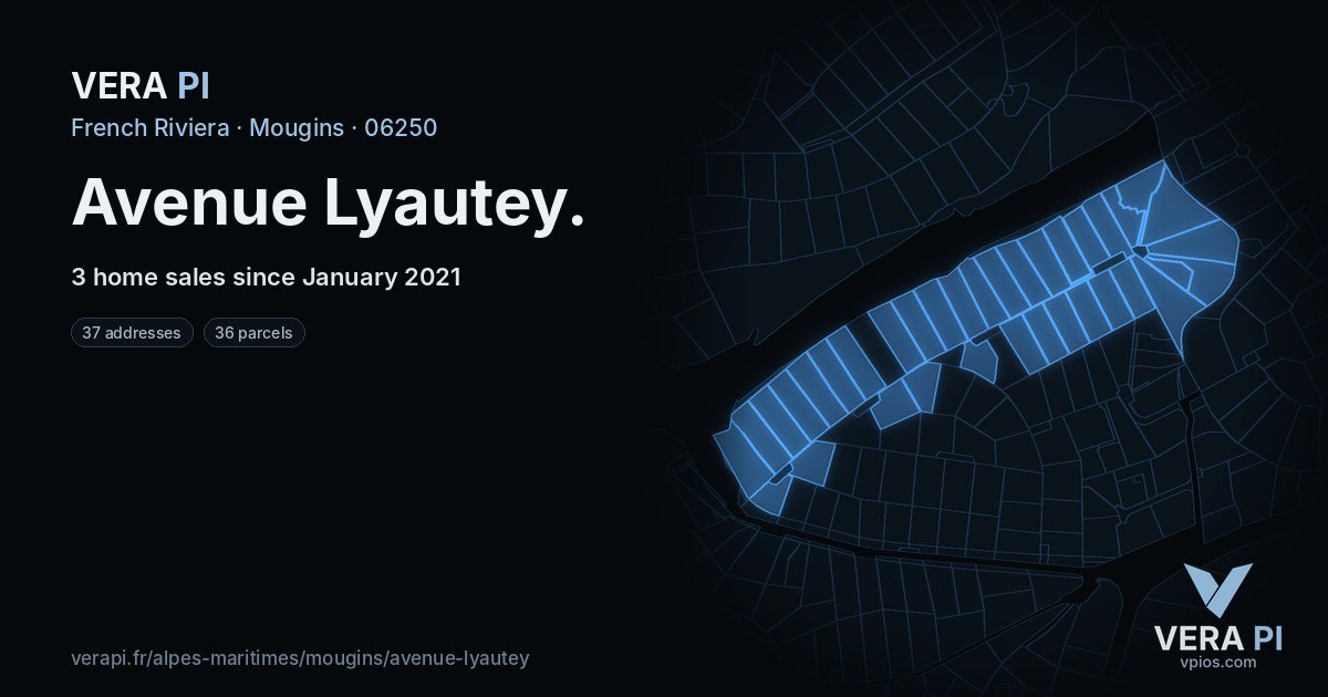 Avenue Lyautey, Mougins at night – every parcel coloured by the prices around it, the street's own parcels lit