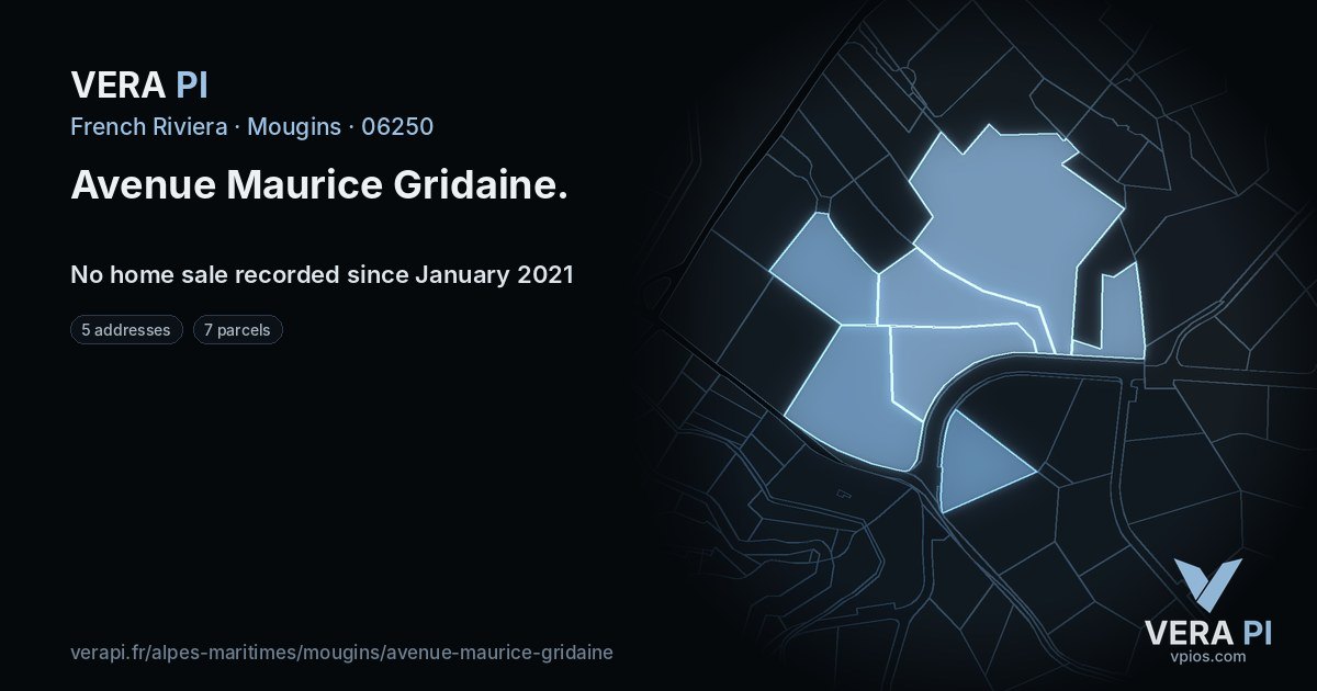 Avenue Maurice Gridaine, Mougins at night – every parcel coloured by the prices around it, the street's own parcels lit