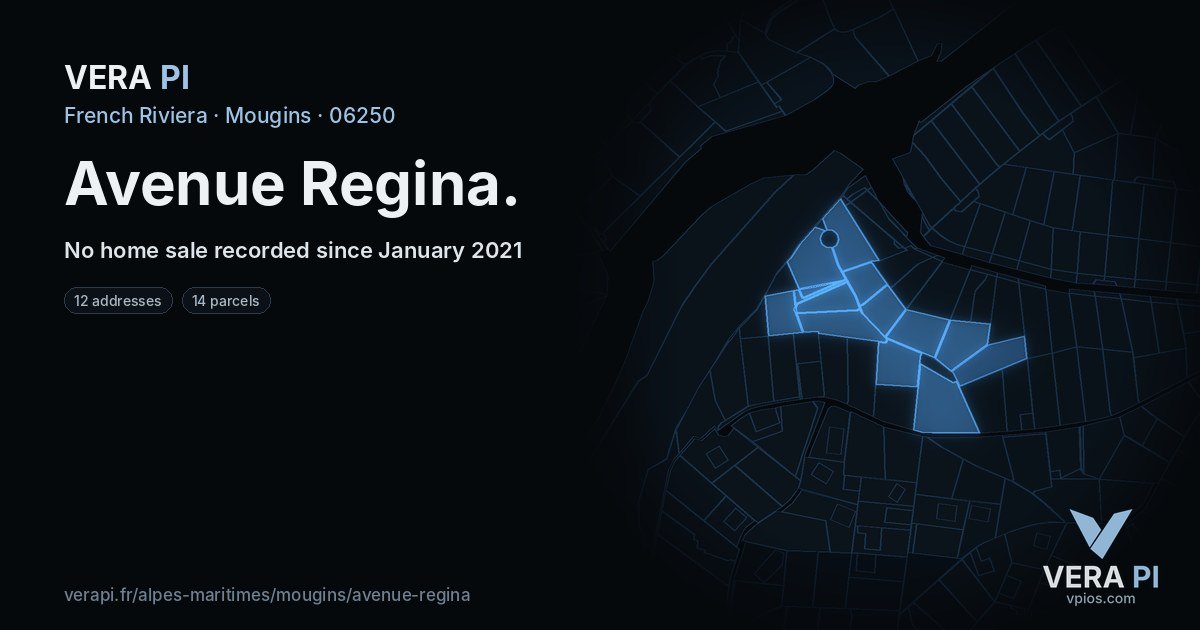 Avenue Regina, Mougins at night – every parcel coloured by the prices around it, the street's own parcels lit