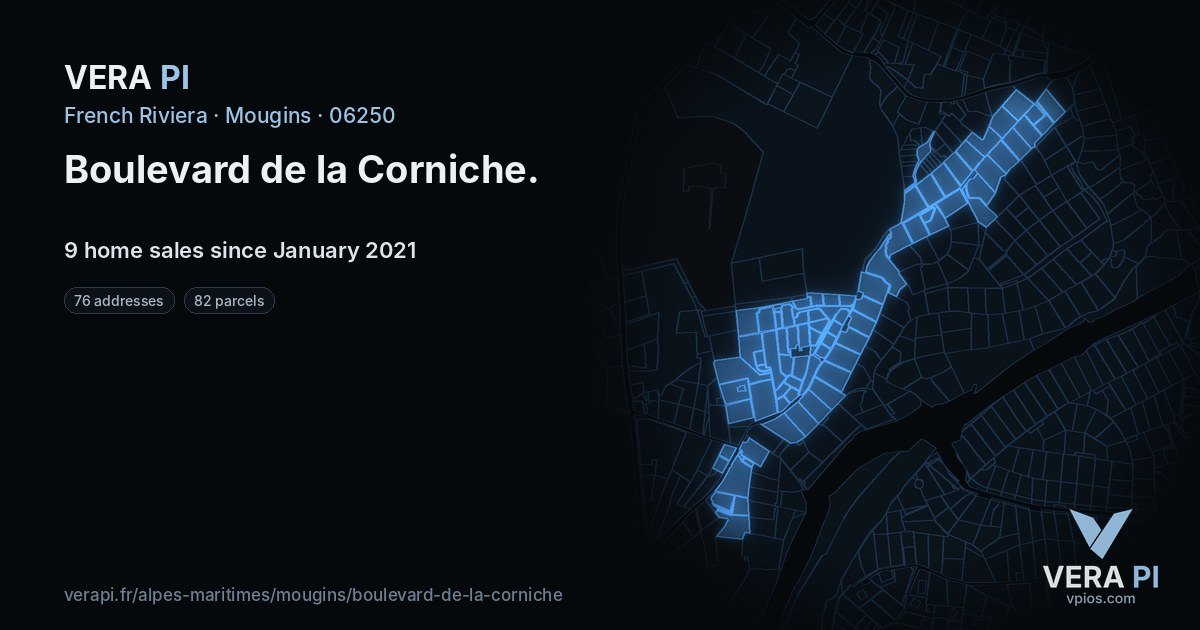 Boulevard de la Corniche, Mougins at night – every parcel coloured by the prices around it, the street's own parcels lit