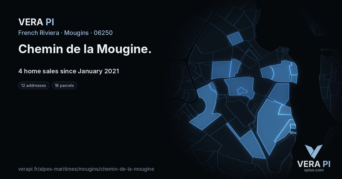 Chemin de la Mougine, Mougins at night – every parcel coloured by the prices around it, the street's own parcels lit