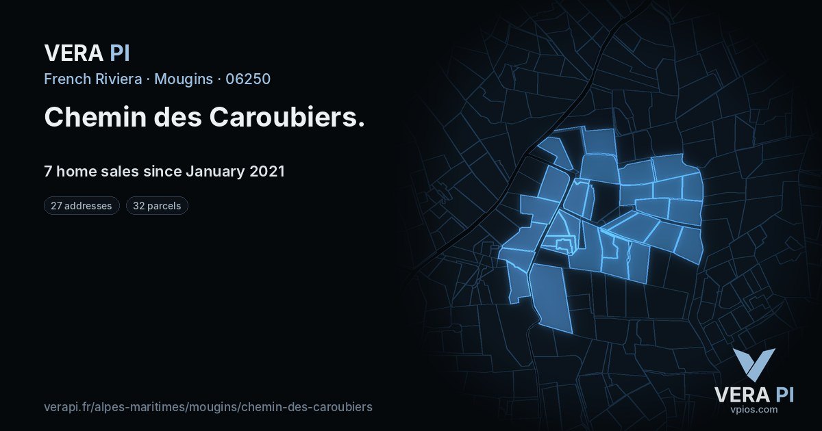 Chemin des Caroubiers, Mougins at night – every parcel coloured by the prices around it, the street's own parcels lit