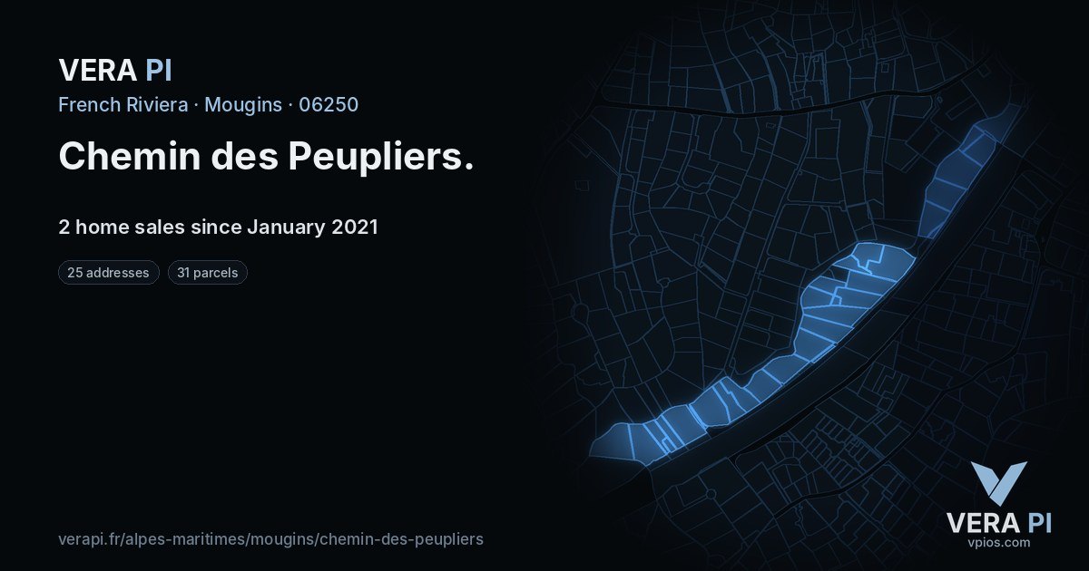 Chemin des Peupliers, Mougins at night – every parcel coloured by the prices around it, the street's own parcels lit