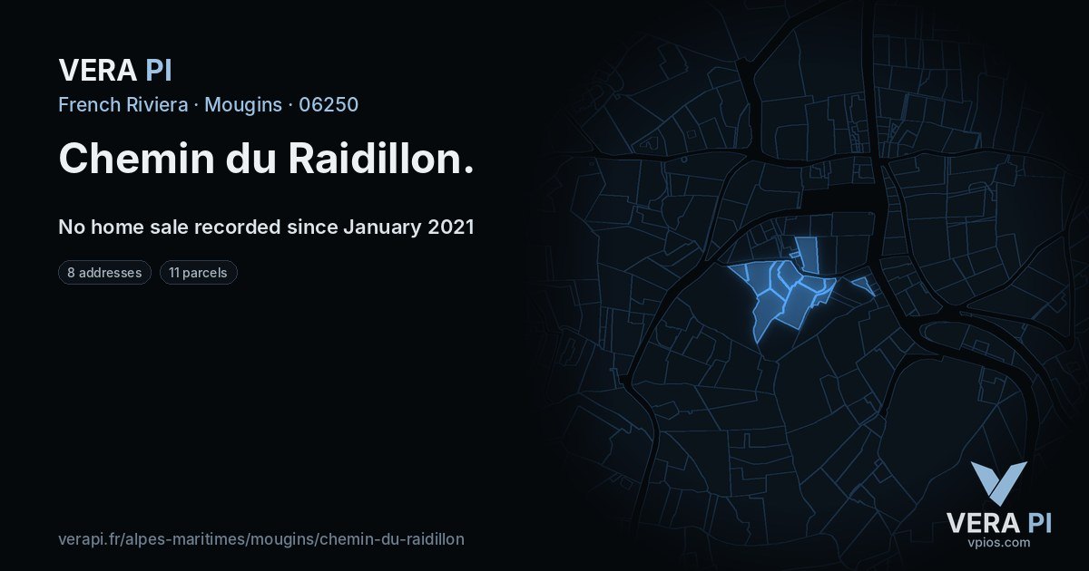 Chemin du Raidillon, Mougins at night – every parcel coloured by the prices around it, the street's own parcels lit