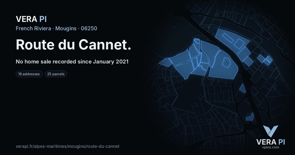 Route du Cannet, Mougins at night – every parcel coloured by the prices around it, the street's own parcels lit