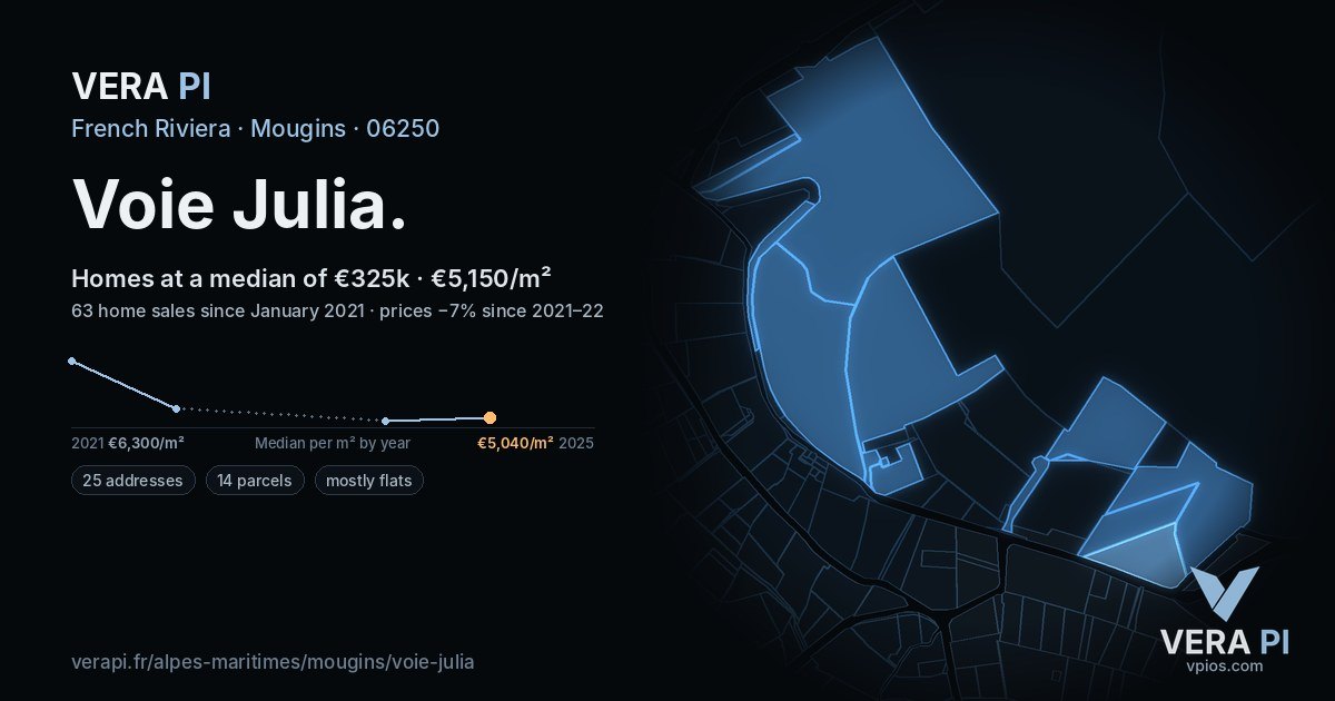 Voie Julia, Mougins at night – every parcel coloured by the prices around it, the street's own parcels lit