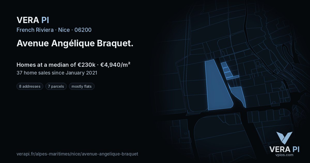 Avenue Angélique Braquet, Nice at night – every parcel coloured by the prices around it, the street's own parcels lit