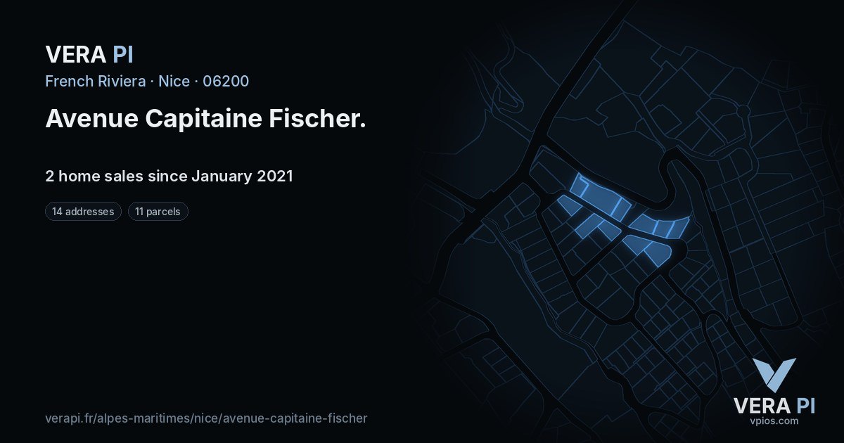 Avenue Capitaine Fischer, Nice at night – every parcel coloured by the prices around it, the street's own parcels lit