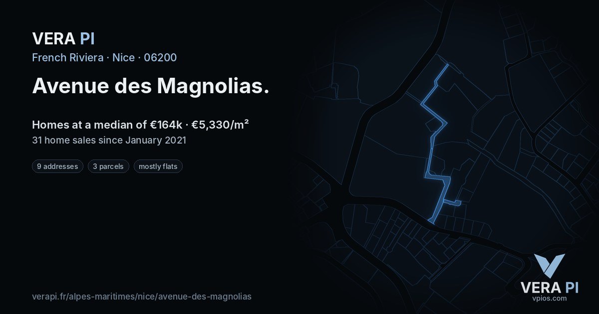 Avenue des Magnolias, Nice at night – every parcel coloured by the prices around it, the street's own parcels lit
