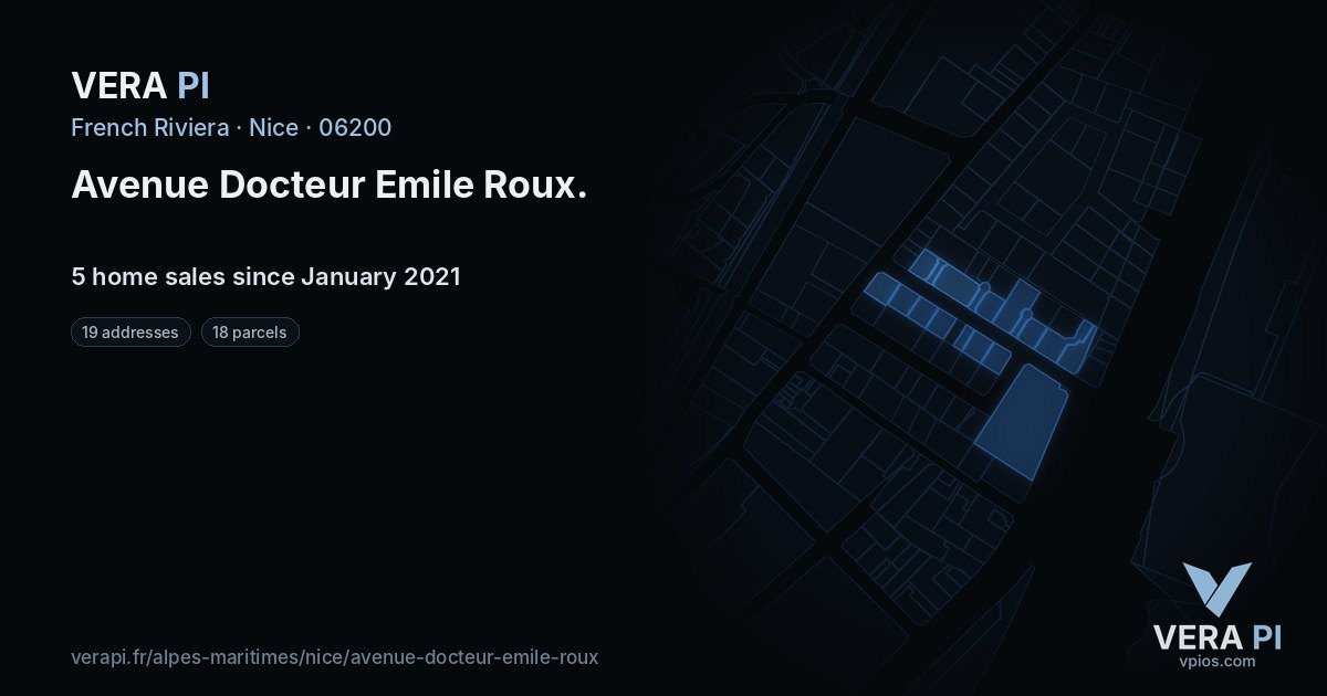 Avenue Docteur Emile Roux, Nice at night – every parcel coloured by the prices around it, the street's own parcels lit