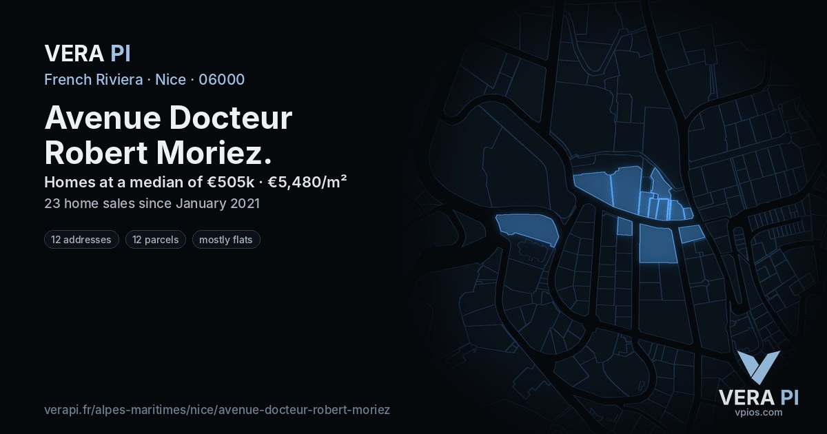 Avenue Docteur Robert Moriez, Nice at night – every parcel coloured by the prices around it, the street's own parcels lit