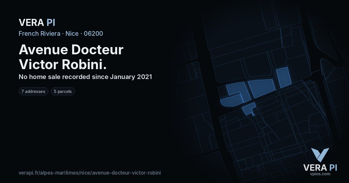 Avenue Docteur Victor Robini, Nice at night – every parcel coloured by the prices around it, the street's own parcels lit
