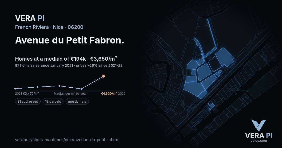 Avenue du Petit Fabron, Nice at night – every parcel coloured by the prices around it, the street's own parcels lit