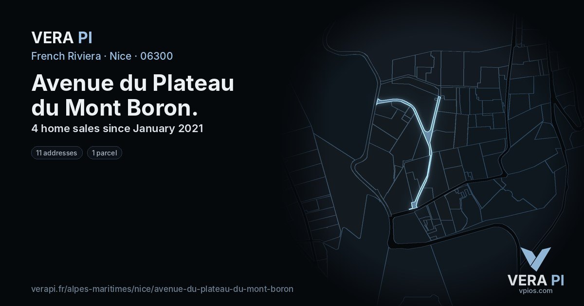 Avenue du Plateau du Mont Boron, Nice at night – every parcel coloured by the prices around it, the street's own parcels lit