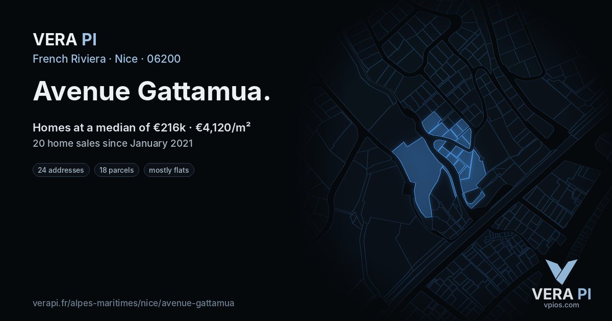 Avenue Gattamua, Nice at night – every parcel coloured by the prices around it, the street's own parcels lit