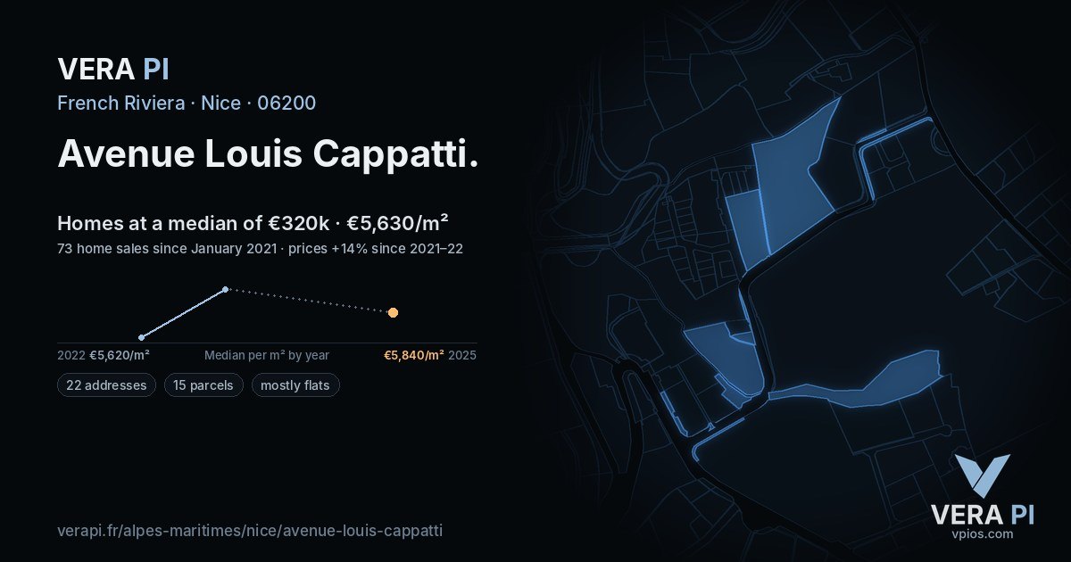 Avenue Louis Cappatti, Nice at night – every parcel coloured by the prices around it, the street's own parcels lit