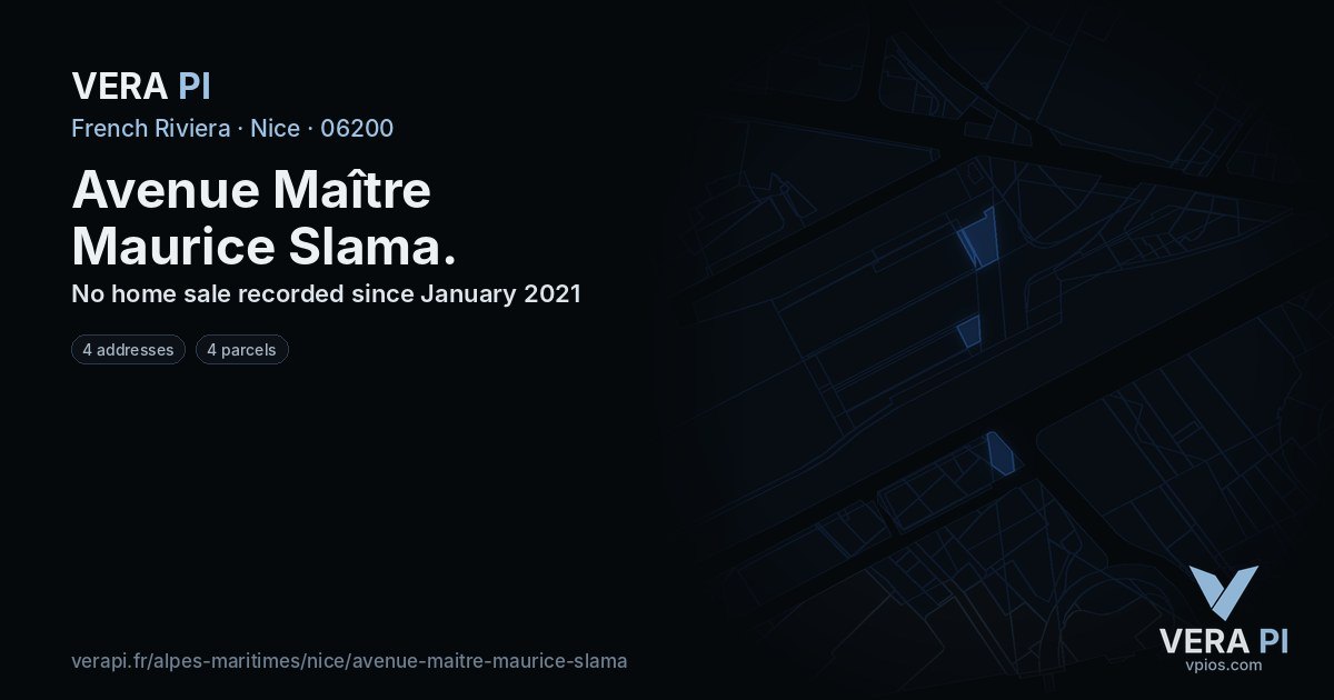 Avenue Maître Maurice Slama, Nice at night – every parcel coloured by the prices around it, the street's own parcels lit