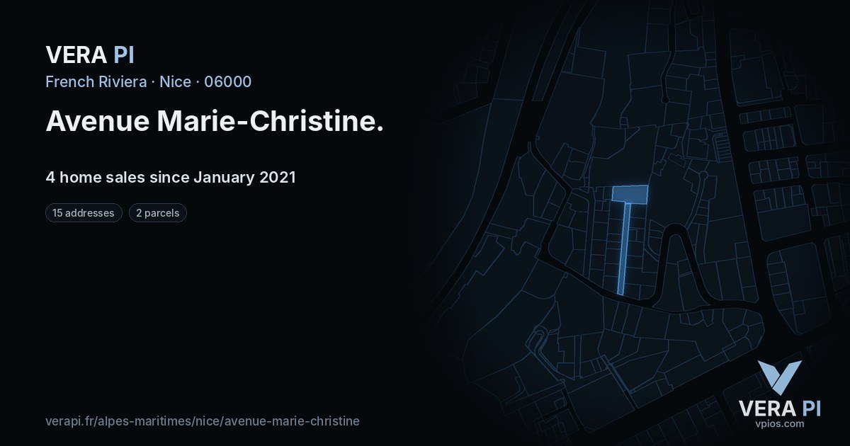 Avenue Marie-Christine, Nice at night – every parcel coloured by the prices around it, the street's own parcels lit