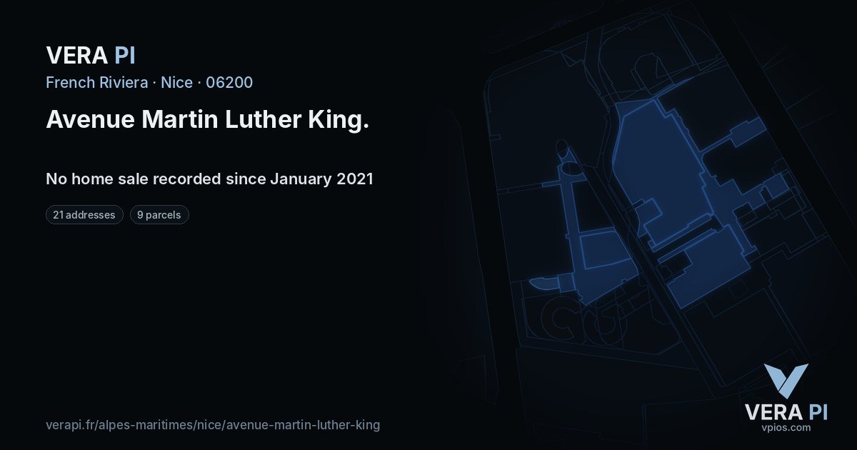 Avenue Martin Luther King, Nice at night – every parcel coloured by the prices around it, the street's own parcels lit