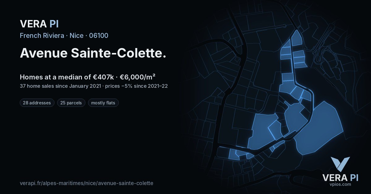 Avenue Sainte-Colette, Nice at night – every parcel coloured by the prices around it, the street's own parcels lit