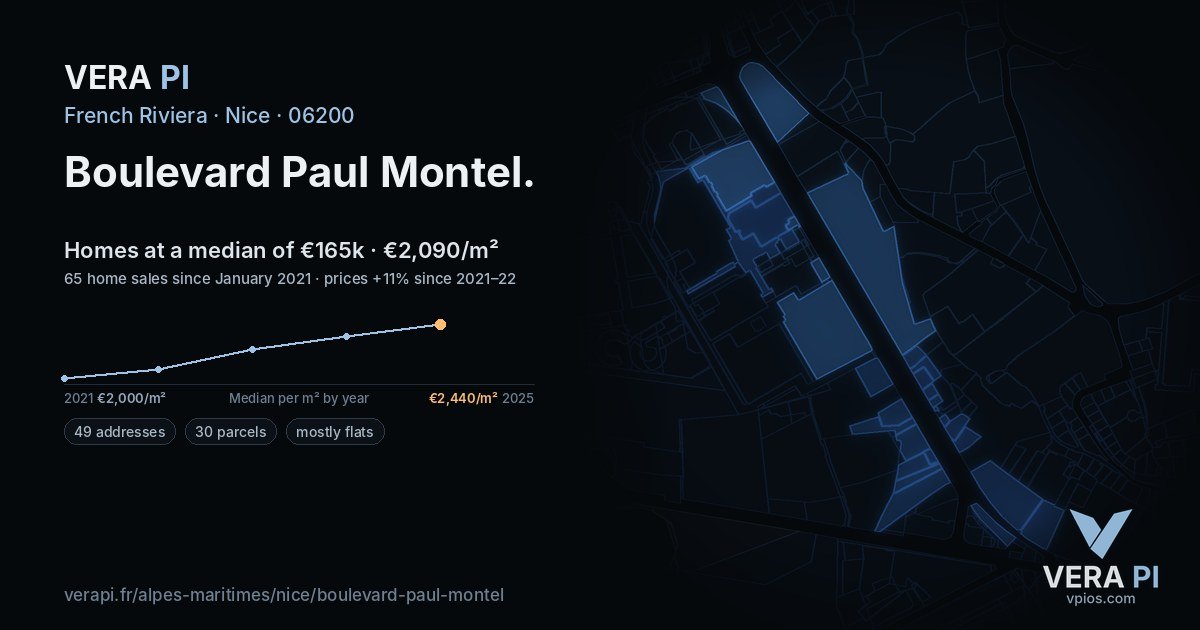Boulevard Paul Montel, Nice at night – every parcel coloured by the prices around it, the street's own parcels lit