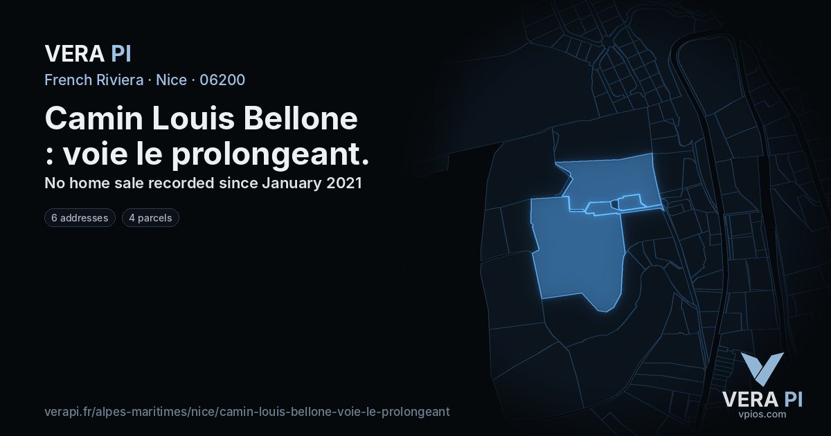 Camin Louis Bellone : voie le prolongeant, Nice at night – every parcel coloured by the prices around it, the street's own parcels lit