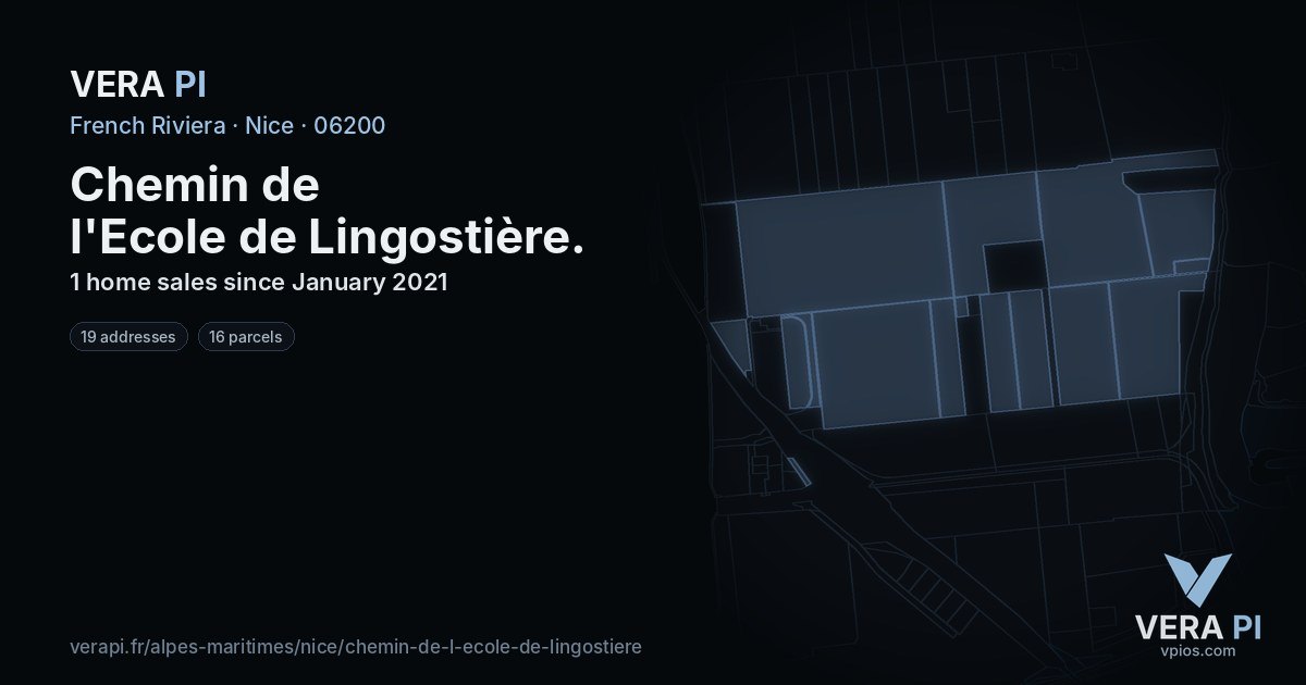 Chemin de l'Ecole de Lingostière, Nice at night – every parcel coloured by the prices around it, the street's own parcels lit