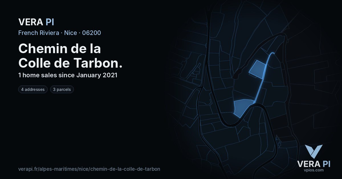 Chemin de la Colle de Tarbon, Nice at night – every parcel coloured by the prices around it, the street's own parcels lit