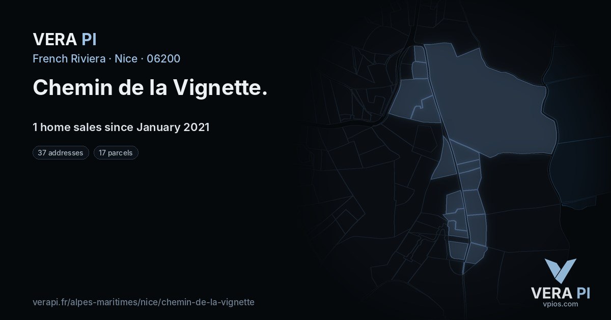 Chemin de la Vignette, Nice at night – every parcel coloured by the prices around it, the street's own parcels lit