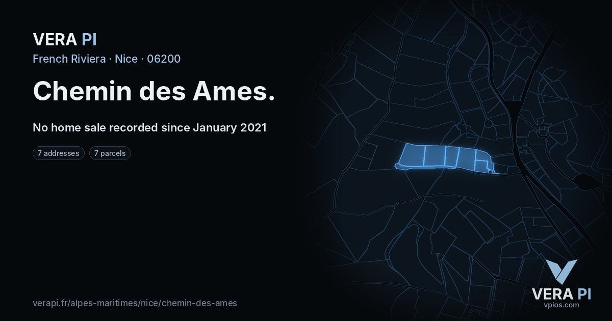 Chemin des Ames, Nice at night – every parcel coloured by the prices around it, the street's own parcels lit