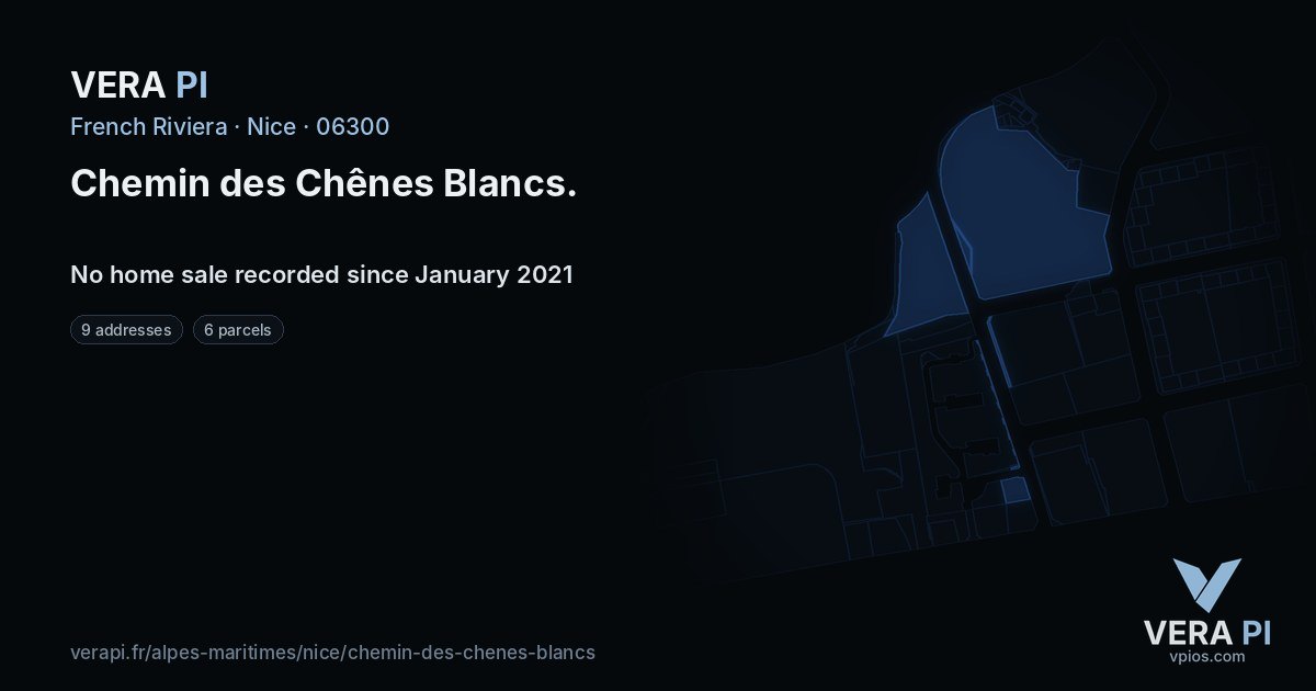 Chemin des Chênes Blancs, Nice at night – every parcel coloured by the prices around it, the street's own parcels lit