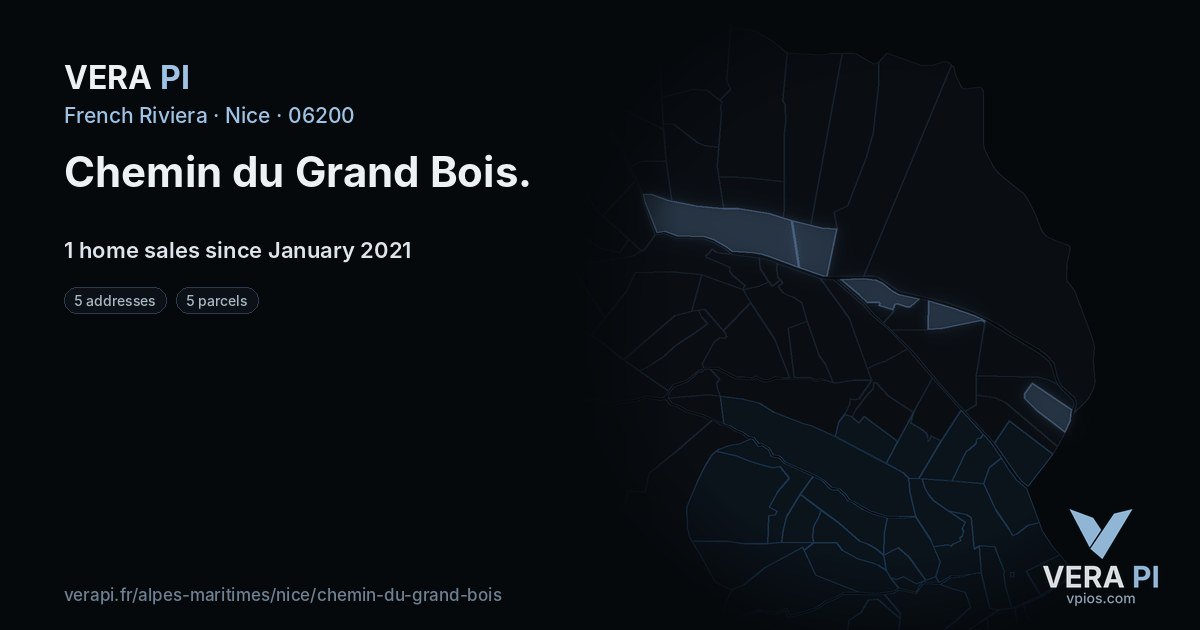 Chemin du Grand Bois, Nice at night – every parcel coloured by the prices around it, the street's own parcels lit