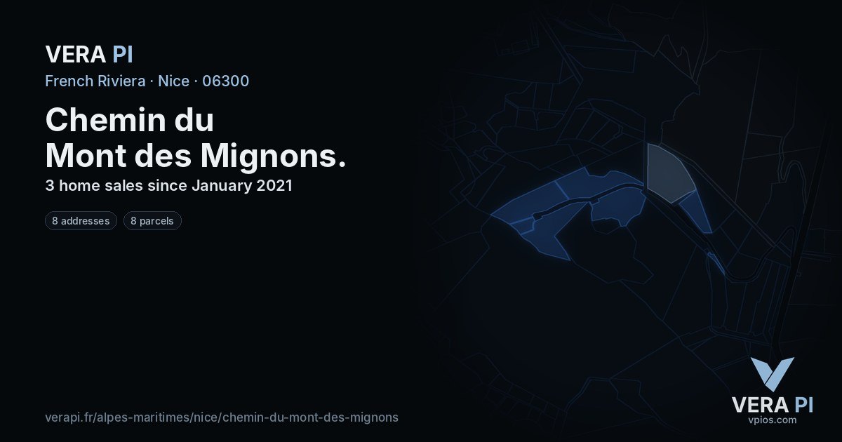 Chemin du Mont des Mignons, Nice at night – every parcel coloured by the prices around it, the street's own parcels lit