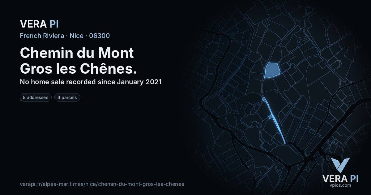 Chemin du Mont Gros les Chênes, Nice at night – every parcel coloured by the prices around it, the street's own parcels lit