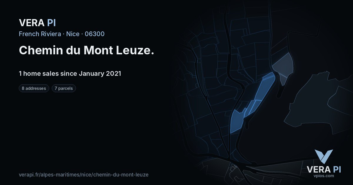 Chemin du Mont Leuze, Nice at night – every parcel coloured by the prices around it, the street's own parcels lit