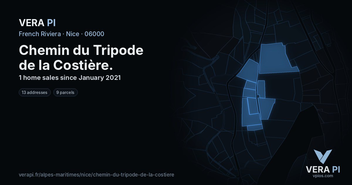 Chemin du Tripode de la Costière, Nice at night – every parcel coloured by the prices around it, the street's own parcels lit