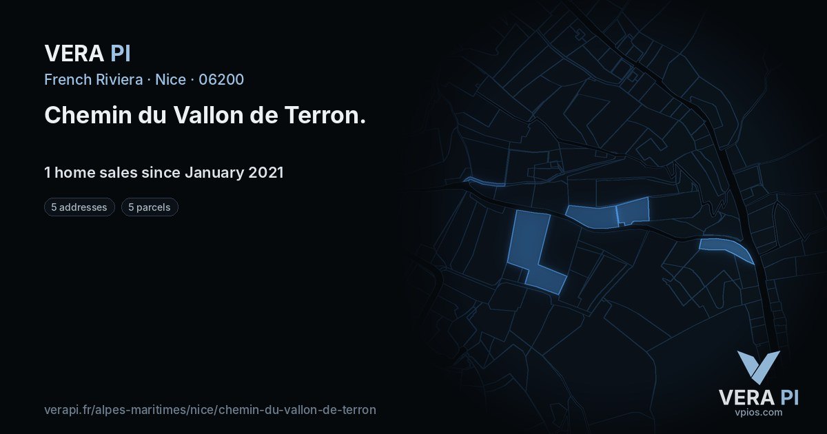 Chemin du Vallon de Terron, Nice at night – every parcel coloured by the prices around it, the street's own parcels lit