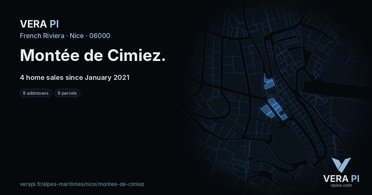 Montée de Cimiez, Nice at night – every parcel coloured by the prices around it, the street's own parcels lit
