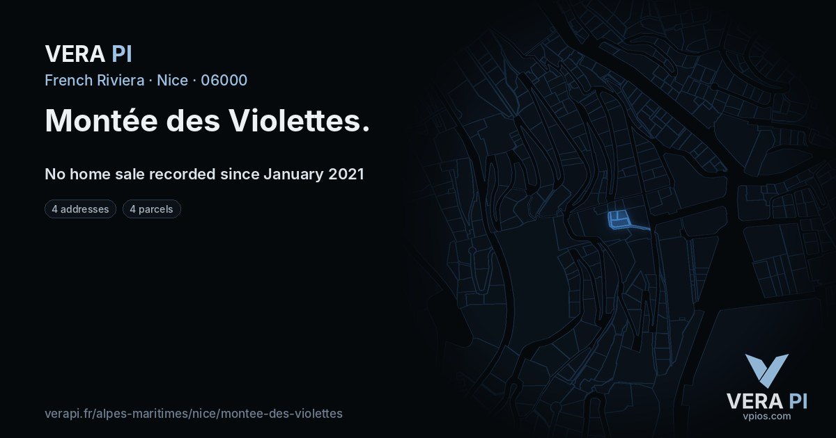 Montée des Violettes, Nice at night – every parcel coloured by the prices around it, the street's own parcels lit