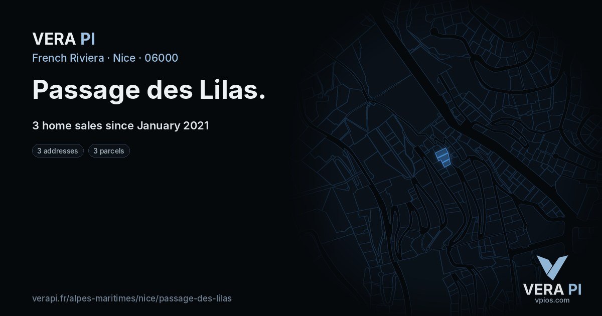 Passage des Lilas, Nice at night – every parcel coloured by the prices around it, the street's own parcels lit