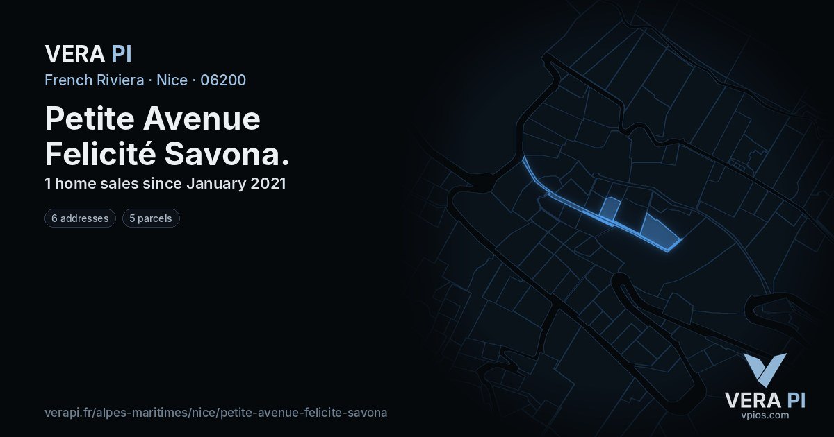 Petite Avenue Felicité Savona, Nice at night – every parcel coloured by the prices around it, the street's own parcels lit