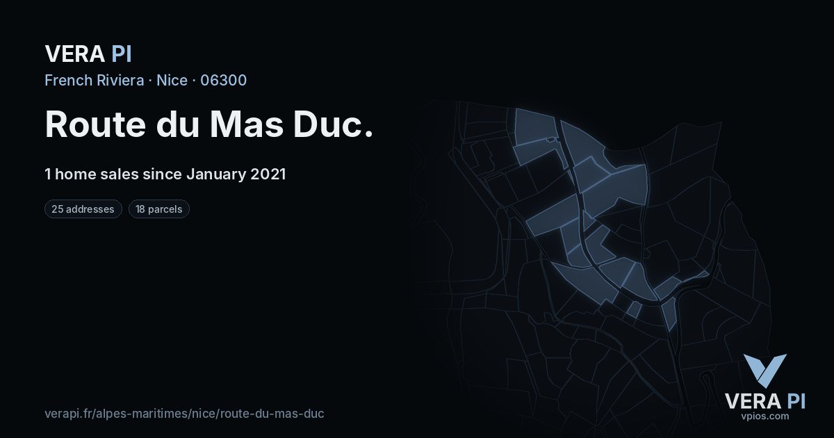 Route du Mas Duc, Nice at night – every parcel coloured by the prices around it, the street's own parcels lit