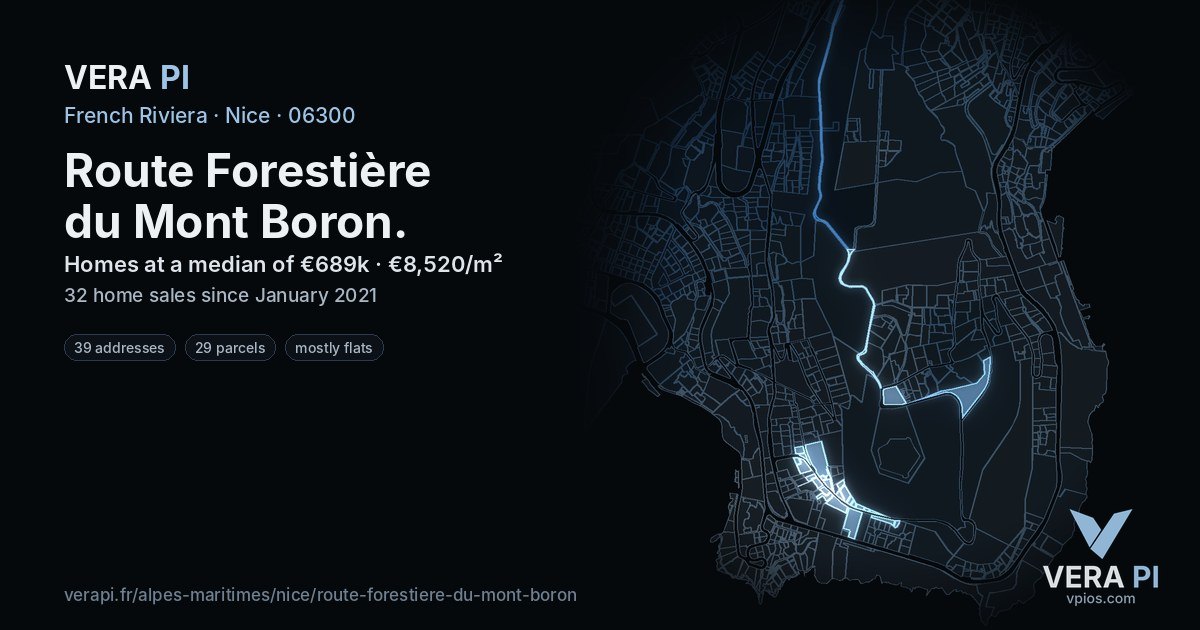 Route Forestière du Mont Boron, Nice at night – every parcel coloured by the prices around it, the street's own parcels lit