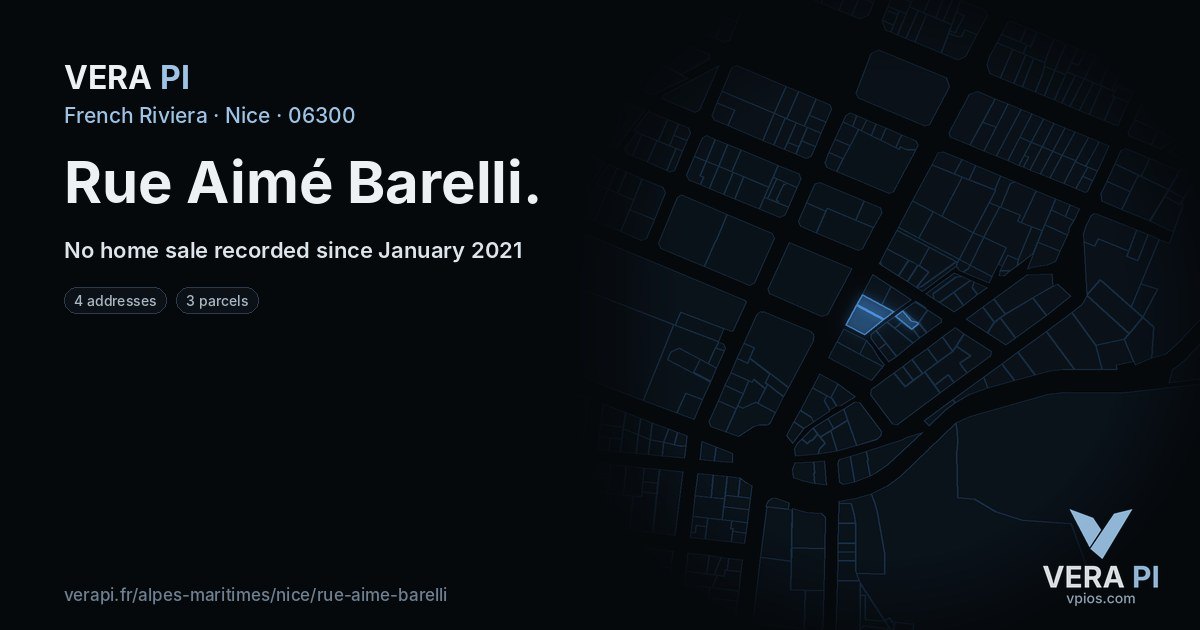 Rue Aimé Barelli, Nice at night – every parcel coloured by the prices around it, the street's own parcels lit