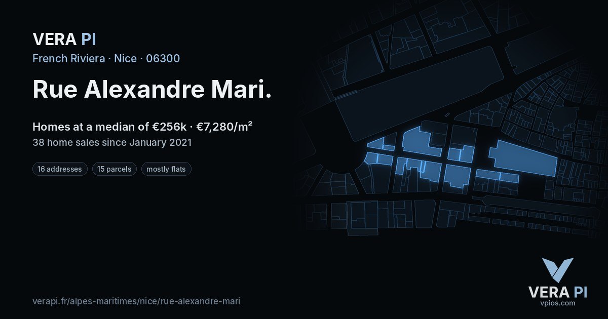 Rue Alexandre Mari, Nice at night – every parcel coloured by the prices around it, the street's own parcels lit